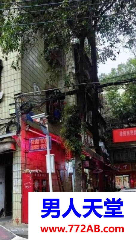 #长沙#,#扫街# 千万不要被那些偷拍狗给坏事了