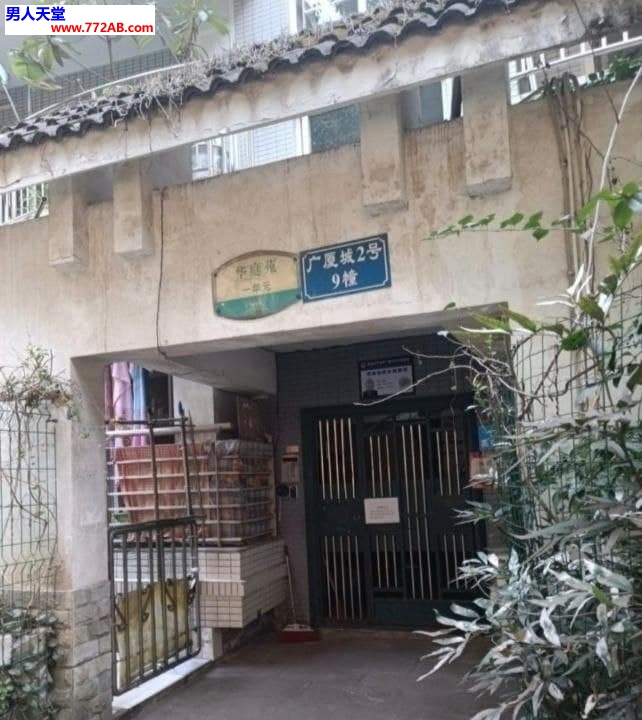 #重庆#,#扫街# 2] 重庆 九龙坡 龙广路附近老小区 进去有一个小区一直往前面走 会有几个小姐站在楼下价格都是三张左右服务还好 有时候能遇见比较年轻的喜欢的